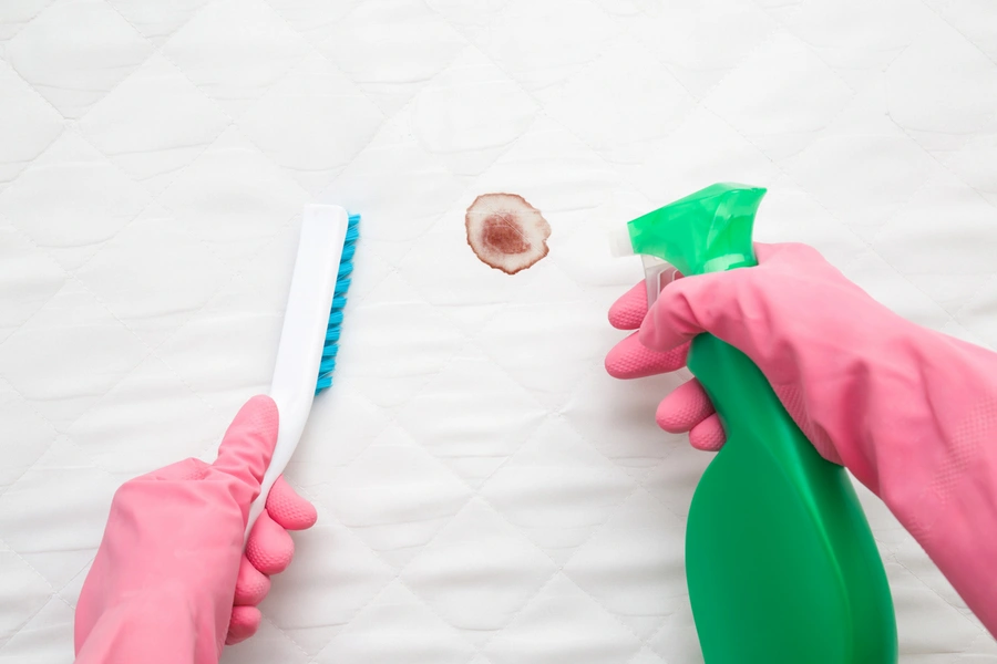 Superior Stain Removal Burlington, NC Superior Stain Removal Burlington, NC