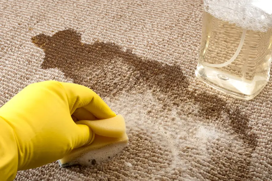 Top-rated Stain Removal Burlington, NC Top-rated Stain Removal Burlington, NC